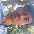 Krishan, 56, Presidente Dutra