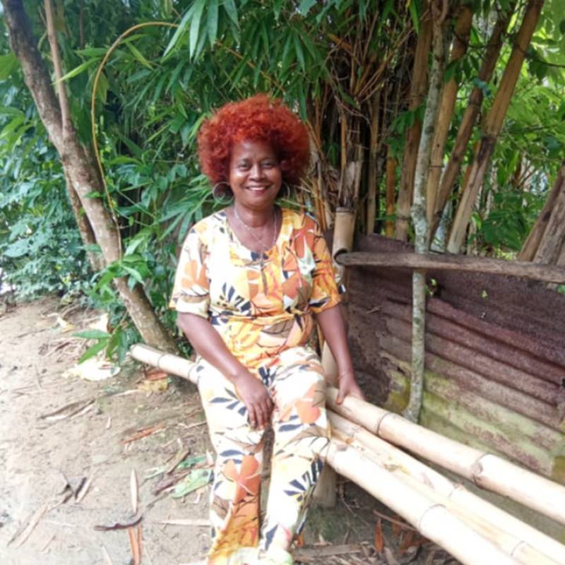 Lily, 59, Alamdanga