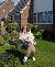 Holz, 51, Citlaltpec