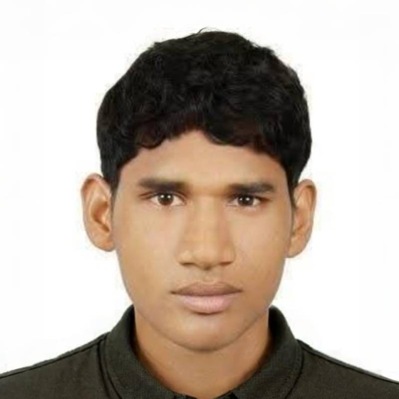 Repon roy, 33, N rnberg